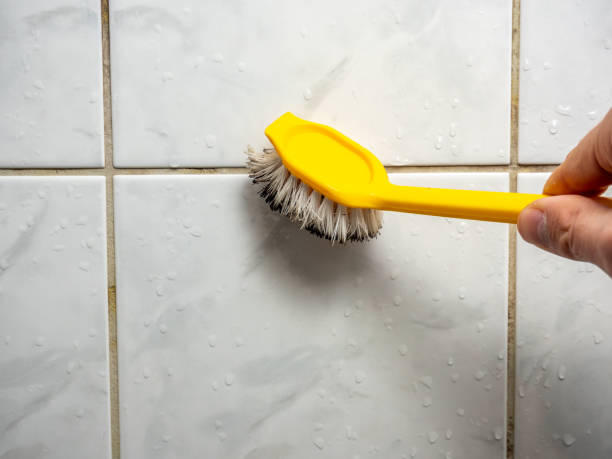 Best Mold Damage Repair  in Peppermill Village, MD