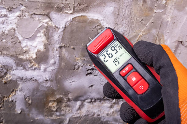 Mold Testing and Removal in Peppermill Village, MD